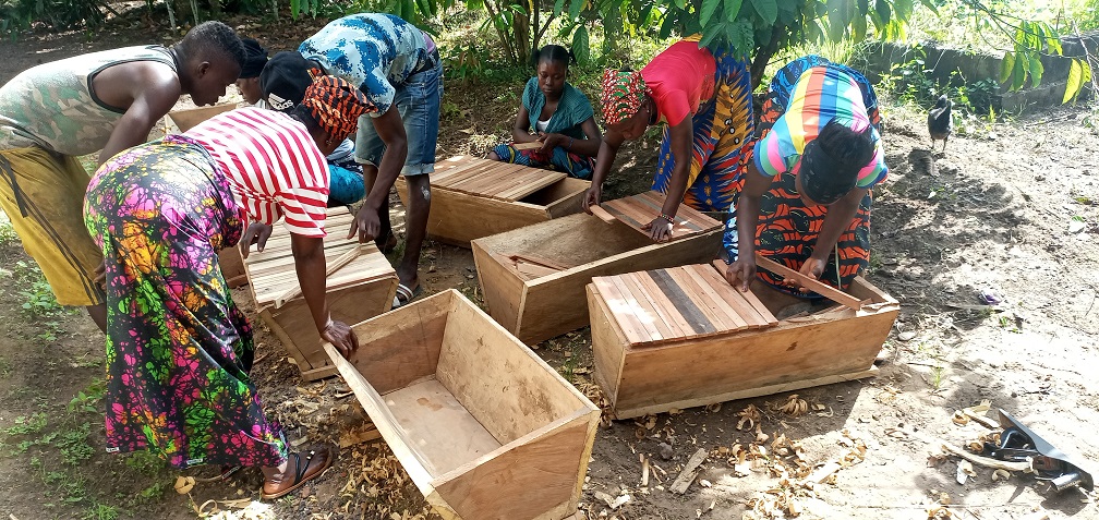 The Construction of beehives